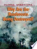 Why are the Rainforests Being Destroyed?