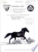 Wild, Free-roaming Horses
